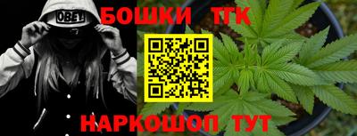 шишки Новозыбков