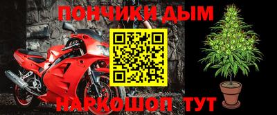 шишки Новозыбков