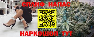 шишки Новозыбков