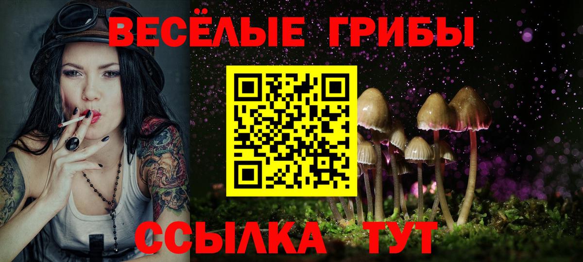 Хабаровск  Псилоцибиновые грибы мицелий  Вход с VPN 