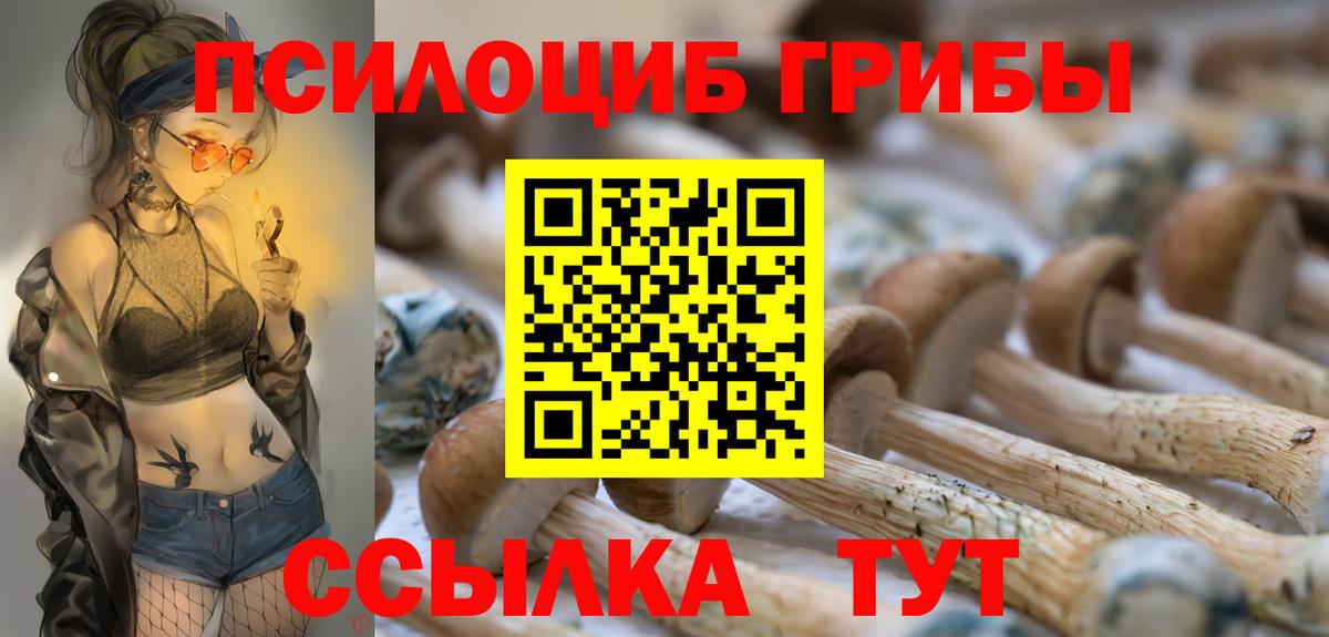 Псилоцибиновые грибы Magic Shrooms Хабаровск