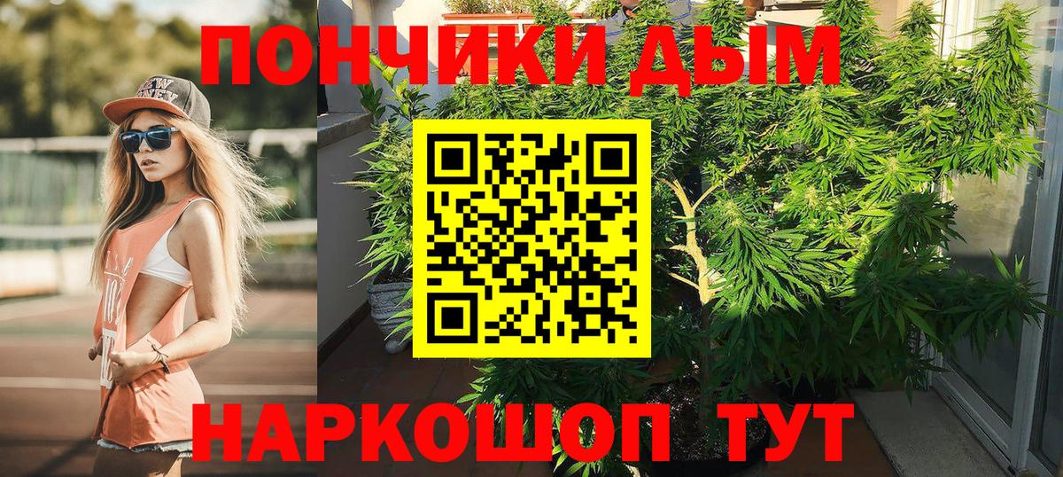Канабис SATIVA & INDICA Хабаровск